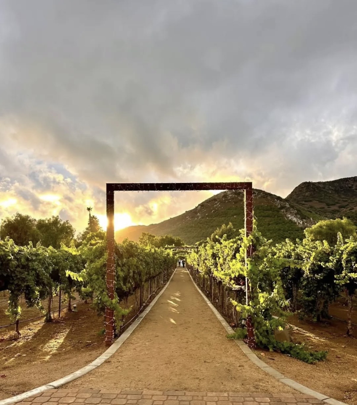 Rancho Guejito Winery Southern California Outdoor Wedding Venue